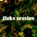 バンドメンバー：fluke session