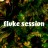 バンドメンバー：fluke session