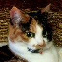 バンドメンバー：バンドメンバー：たくわた